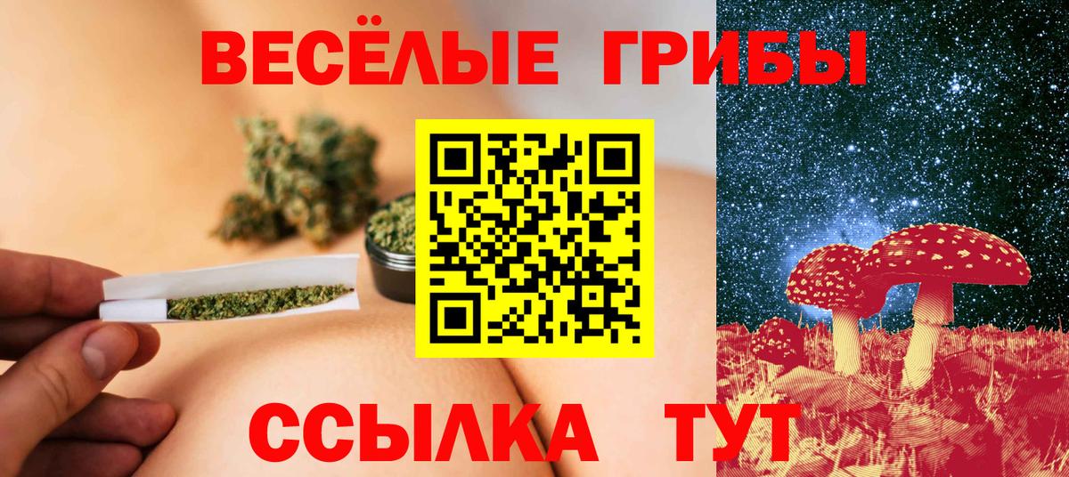 Ефремов  Галлюциногенные грибы Magic Shrooms  Псилоцибиновые грибы прущие грибы  Вход с VPN 